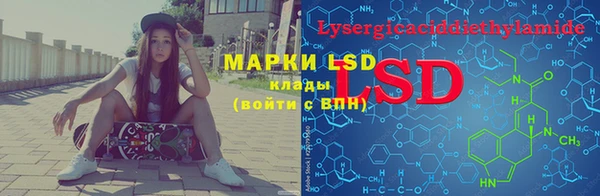 хмурый Арсеньев