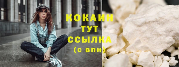 хмурый Арсеньев