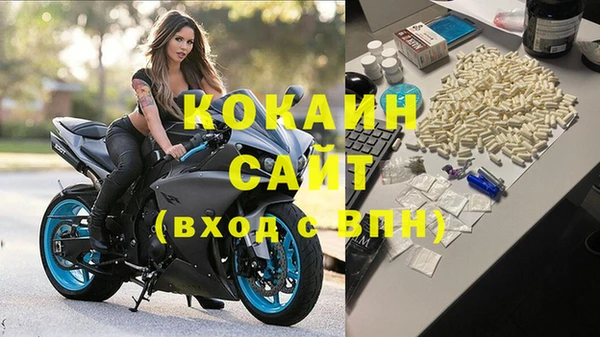 хмурый Арсеньев
