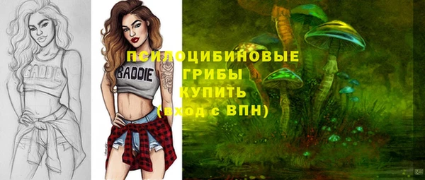 ГАЛЛЮЦИНОГЕННЫЕ ГРИБЫ Армянск