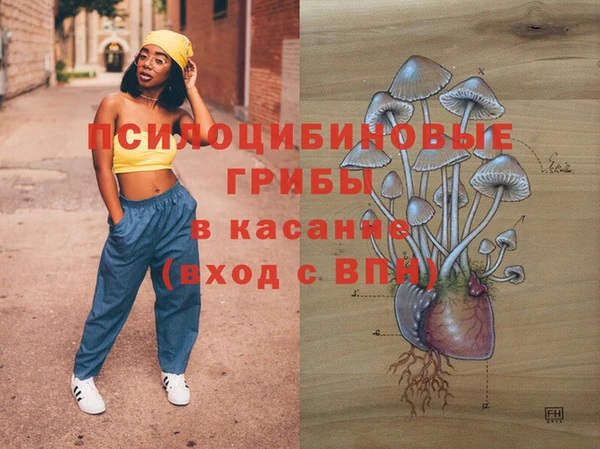 ГАЛЛЮЦИНОГЕННЫЕ ГРИБЫ Армянск