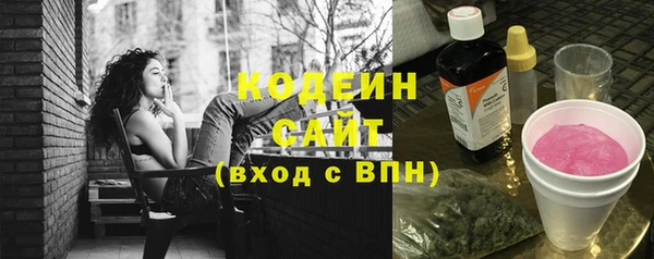 хмурый Арсеньев