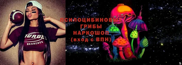 ГАЛЛЮЦИНОГЕННЫЕ ГРИБЫ Армянск