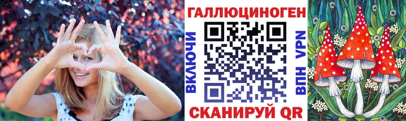 как найти   Лениногорск  Псилоцибиновые грибы мухоморы 